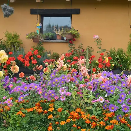 Casucas La Guariza Holiday home