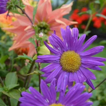 Hotel Casucas La Guariza Fontibre
