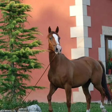 Casucas La Guariza Holiday home *