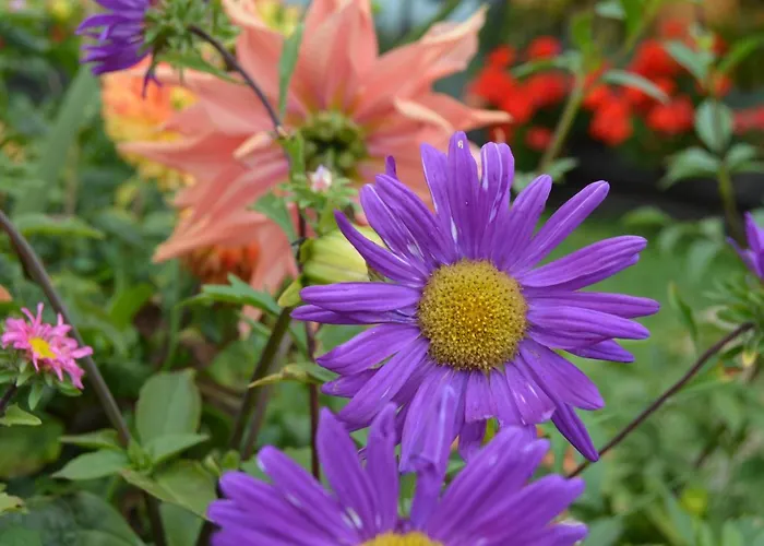 Hotel Casucas La Guariza Fontibre
