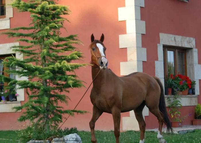 Casucas La Guariza Hotel *